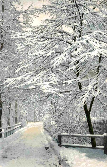 Verlag Photochromie Nr 1525 Dresden Grosser Garten Im Schnee Kat