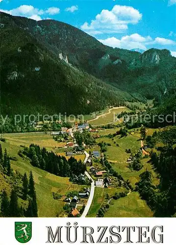 Muerzsteg Sommerfrische Alpenpanorama Fliegeraufnahme Kat. Muerzsteg