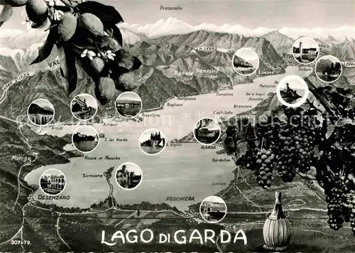 Malcesine Lago di Garda rund um den Gardasee Alpen Weintrauben Zitronen Kat. Malcesine