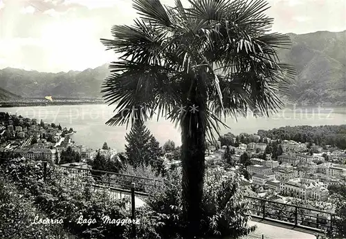 Locarno TI Palme Blick auf den Lago Maggiore Kat. Locarno