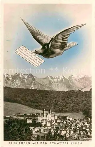 AK / Ansichtskarte Einsiedeln SZ mit Schwyzer Alpen Kat. Einsiedeln