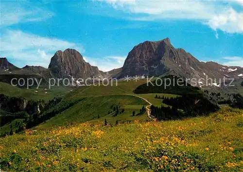 AK / Ansichtskarte Schwefelberg Nuenenen und Gantrisch Landschaftspanorama Berner Oberland Kat. Sangernboden