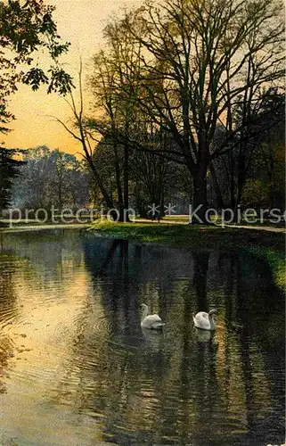 AK / Ansichtskarte Verlag Photochromie Nr. 2577 Serie 133 Dresden Grosser Garten im Herbst  Kat. Verlage