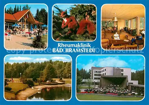 AK / Ansichtskarte Bad Bramstedt Rheumaklinik Solbad Moorbad Eichhoernchen Schwanensee Kurpark Kat. Bad Bramstedt