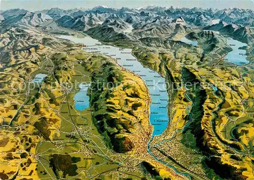 AK / Ansichtskarte Zuerich ZH Zuerichsee und Umgebung Alpen aus der Vogelperspektive