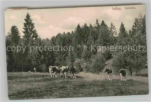 AK / Ansichtskarte Solling Bodenfelde Kuherde Kat. Bodenfelde