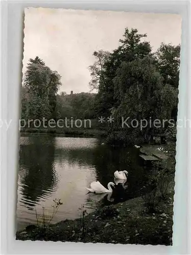 AK / Ansichtskarte Noerten Hardenberg Schlossteich Ruinenturm Kat. Noerten Hardenberg