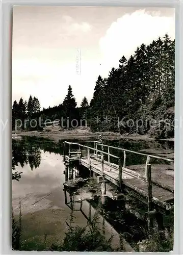 AK / Ansichtskarte Neuhaus Solling Teich Bruecke Kat. Holzminden