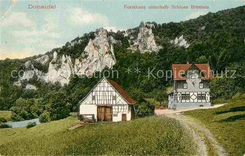 AK / Ansichtskarte Donautal Forsthaus unterhalb Schloss Bronnen Kat. Ulm