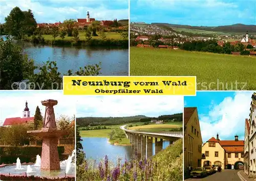 AK / Ansichtskarte Neunburg Wald Brunnen Ortspartie Bruecke  Kat. Neunburg vorm Wald