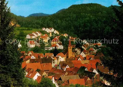 AK / Ansichtskarte Velden Mittelfranken  Kat. Velden Pegnitz