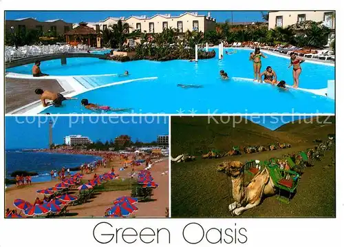 AK / Ansichtskarte Maspalomas Bungalows Green Oasis Swimming Pool Strand Kamele Kat. Gran Canaria Spanien