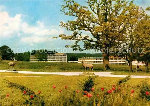 AK / Ansichtskarte Bernried Starnberger See Klinik Hoehenried Park Skulpturen Kat. Bernried