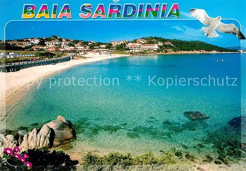 AK / Ansichtskarte Sardegna Strand Moewe