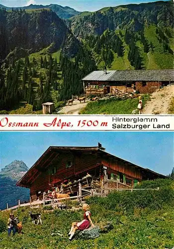 AK / Ansichtskarte Hinterglemm Saalbach Ossmann Alpe Ausflugsziel Allgaeuer Alpen Wandern