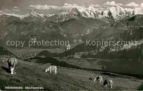 AK / Ansichtskarte Sessellift Niederhorn Beatenberg Kuehe Interlaken Thunersee Schreckhorn  Kat. Bahnen