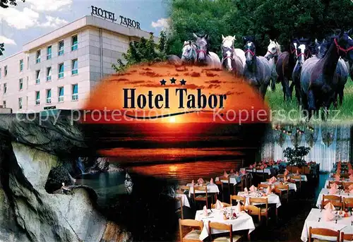 AK / Ansichtskarte Sezana Hotel Tabor Pferde Hoehle Restaurant Kat. Slowenien