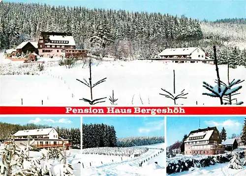 AK / Ansichtskarte Oesterberge Pension Haus Bergeshoehe Winterpanorama Kat. Wenholthausen