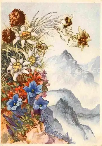 AK / Ansichtskarte Blumen Kohlroeschen Edelweiss Rostblaettrige Alpenrose Enzian  Kat. Pflanzen