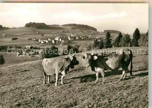 AK / Ansichtskarte Oberreute Panorama  Kat. Oberreute