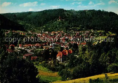 AK / Ansichtskarte Bad Liebenzell mit Burg Kat. Bad Liebenzell
