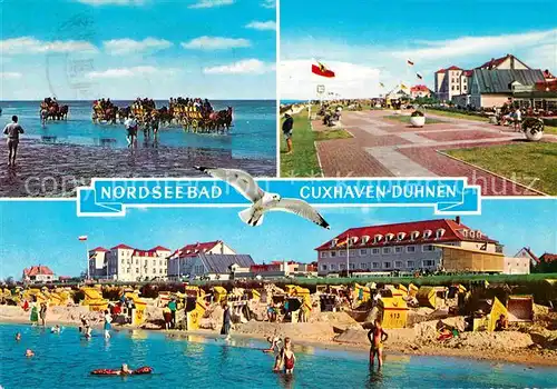 AK / Ansichtskarte Cuxhaven Duhnen Nordseebad Wattwagen Strandleben