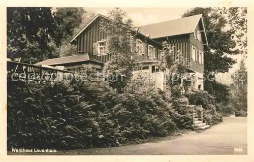 AK / Ansichtskarte Mittweida Waldhaus Lauenhain  Kat. Mittweida