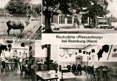 AK / Ansichtskarte Ilsenburg Harz Raststaette Plessenburg Hirsch Kat. Ilsenburg Harz