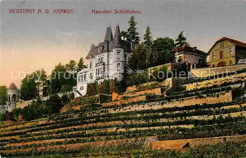 AK / Ansichtskarte Neustadt Haardt Schloss Kat. Neustadt an der Weinstr.