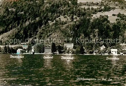 AK / Ansichtskarte Bodensdorf Ossiacher See Hotel Birkenhof Stoecklweingarten