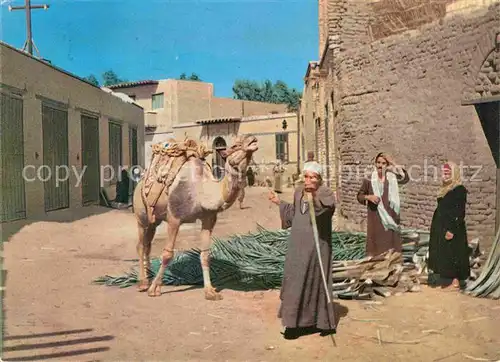 AK / Ansichtskarte Kairo Oase Fajum Camel Kat. Aegypten