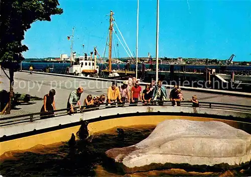 AK / Ansichtskarte Kiel an der Kiellinie Seeloewen Kat. Kiel