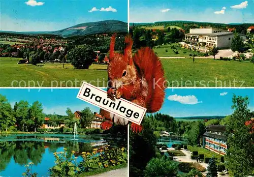 AK / Ansichtskarte Braunlage mit Eichhoernchen Kat. Braunlage Harz