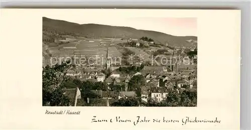 AK / Ansichtskarte Neustadt Haardt Panorama  Kat. Neustadt an der Weinstr.