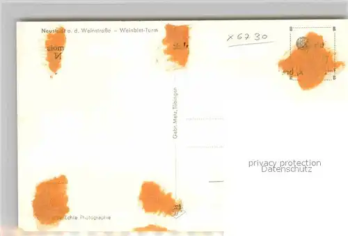 AK / Ansichtskarte Neustadt Weinstrasse Weinbiet Turm Kat. Neustadt an der Weinstr.