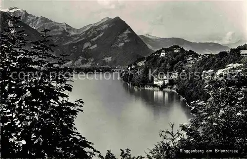 AK / Ansichtskarte Ringgenberg Brienzersee Panorama Alpen