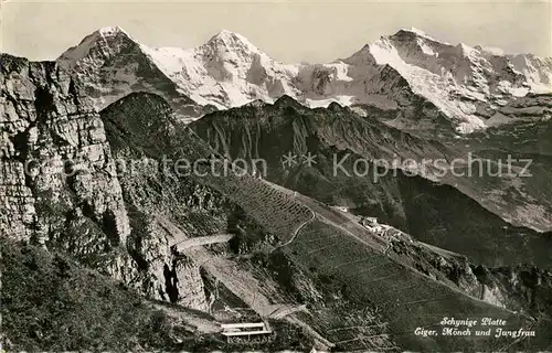 AK / Ansichtskarte Schynige Platte Panorama mit Eiger Moench und Jungfrau Berner Alpen Kat. Schynige Platte