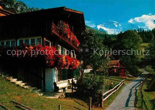 AK / Ansichtskarte Wengen BE Altes Bauernhaus im Schiltwald Berner Alpen Kat. Wengen