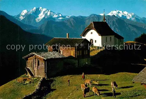 AK / Ansichtskarte Bettmeralp VS Almvieh Kuehe Kapelle Fletschhorn Dom Walliser Alpen Kat. Bettmeralp