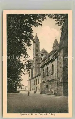 AK / Ansichtskarte Speyer Rhein Dom mit Oelberg Kat. Speyer