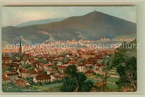 AK / Ansichtskarte Neustadt Haardt Panorama  Kat. Neustadt an der Weinstr.