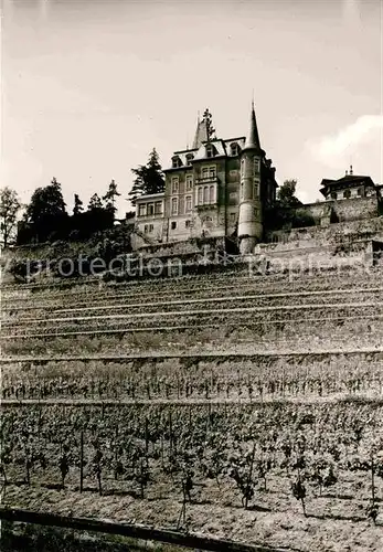 AK / Ansichtskarte Neustadt Haardt Schloss Kat. Neustadt an der Weinstr.