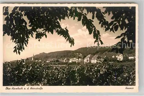 AK / Ansichtskarte Hambach Neustadt Panorama 