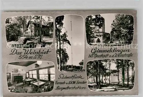 AK / Ansichtskarte Gimmeldingen Weinbiet Sendeturm Fernsehhaus Bergwetterstation Kat. Neustadt an der Weinstr.