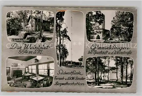 AK / Ansichtskarte Gimmeldingen Sendeturm Bergwetterstation Gastraum Weinbiethaus Kat. Neustadt an der Weinstr.