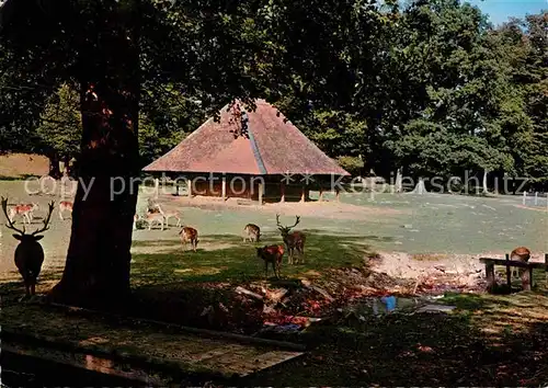 AK / Ansichtskarte Dornholzhausen Taunus Hirschgarten Kat. Bad Homburg v.d. Hoehe