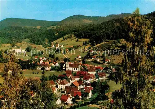 AK / Ansichtskarte Schenkenzell  Kat. Schenkenzell Schwarzwald