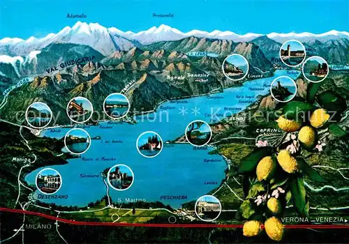 AK / Ansichtskarte Gardasee Lago di Garda und Umgebung Alpen aus der Vogelperspektive Zitronen Kat. Italien