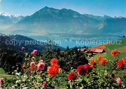 AK / Ansichtskarte Heiligenschwendi Thunersee Niesen Kat. Heiligenschwendi