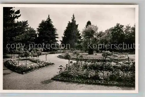 AK / Ansichtskarte Neustadt Weinstrasse Rosengarten Kat. Neustadt an der Weinstr.